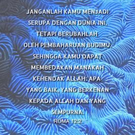 Ayat Alkitab Tentang Perubahan Menjadi Lebih Baik - Persembahan